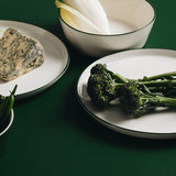 Complete Roman Dinnerware Set