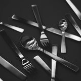 Brushed 24PC Cutlery Set