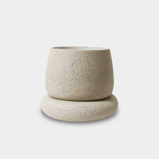 small planter sitting on white background